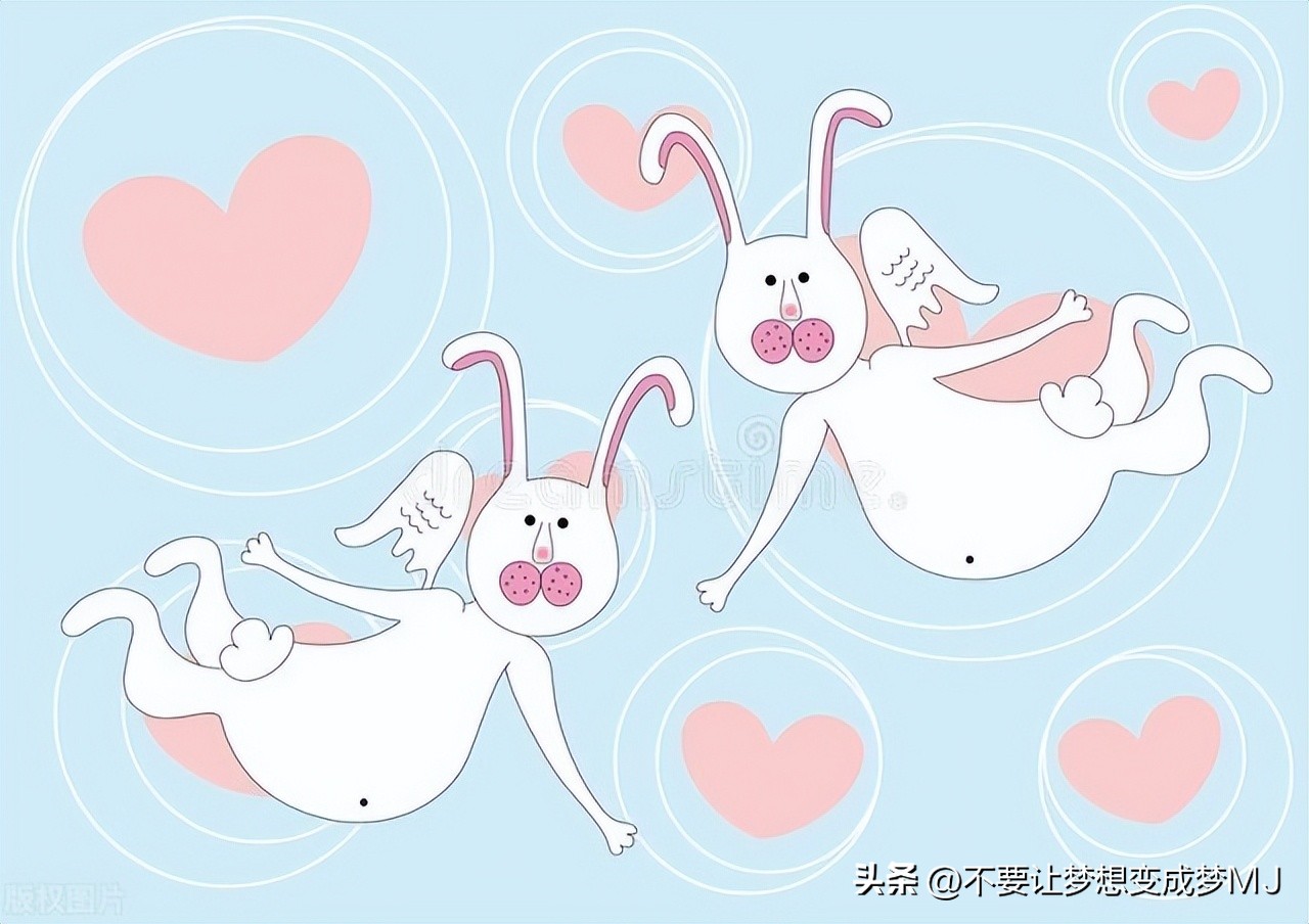 推荐和喜欢的人一起看的电影,推荐给另一半看的电影