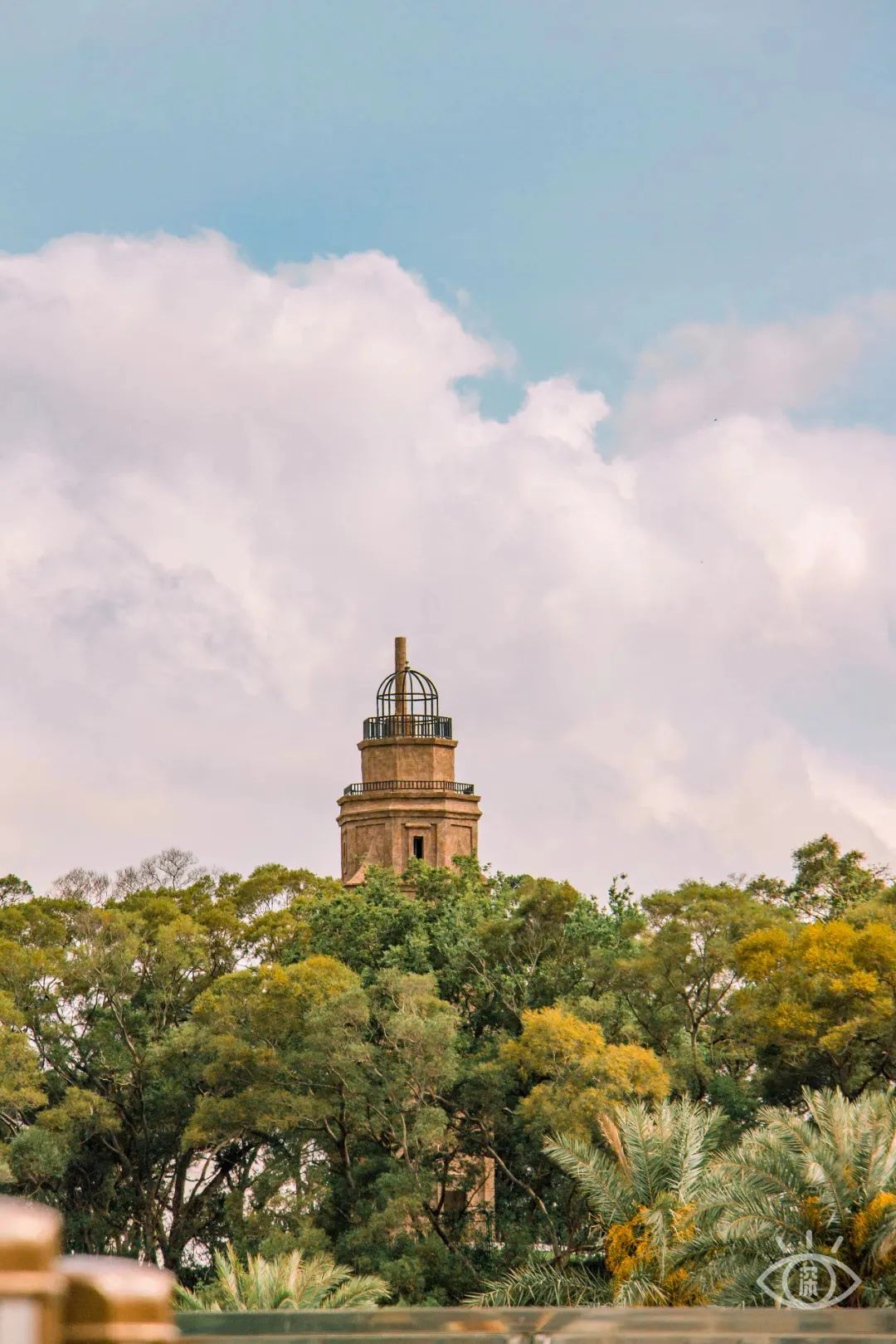 深圳小众胜地有哪些好玩的,深圳的特色风景