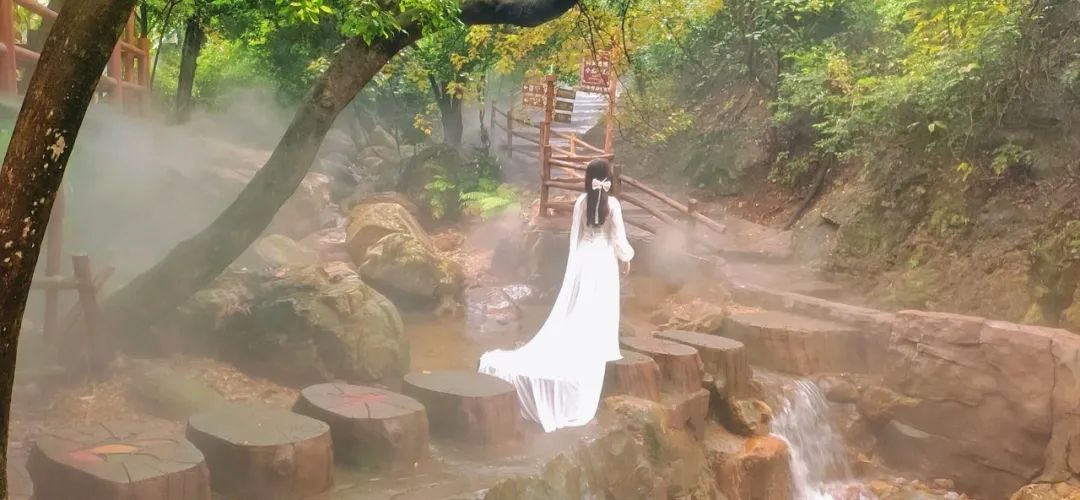 旅游年卡飞熊乐园,水上乐园年卡团购限几人