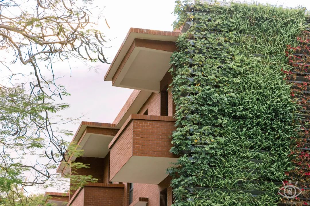 深圳小众胜地有哪些好玩的,深圳的特色风景