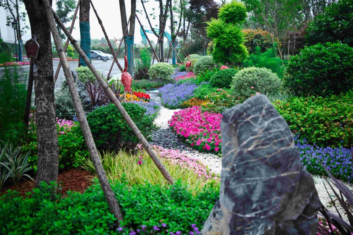 南昌大学第一附属医院象湖分院发展,南昌象湖第一附属医院周边规划