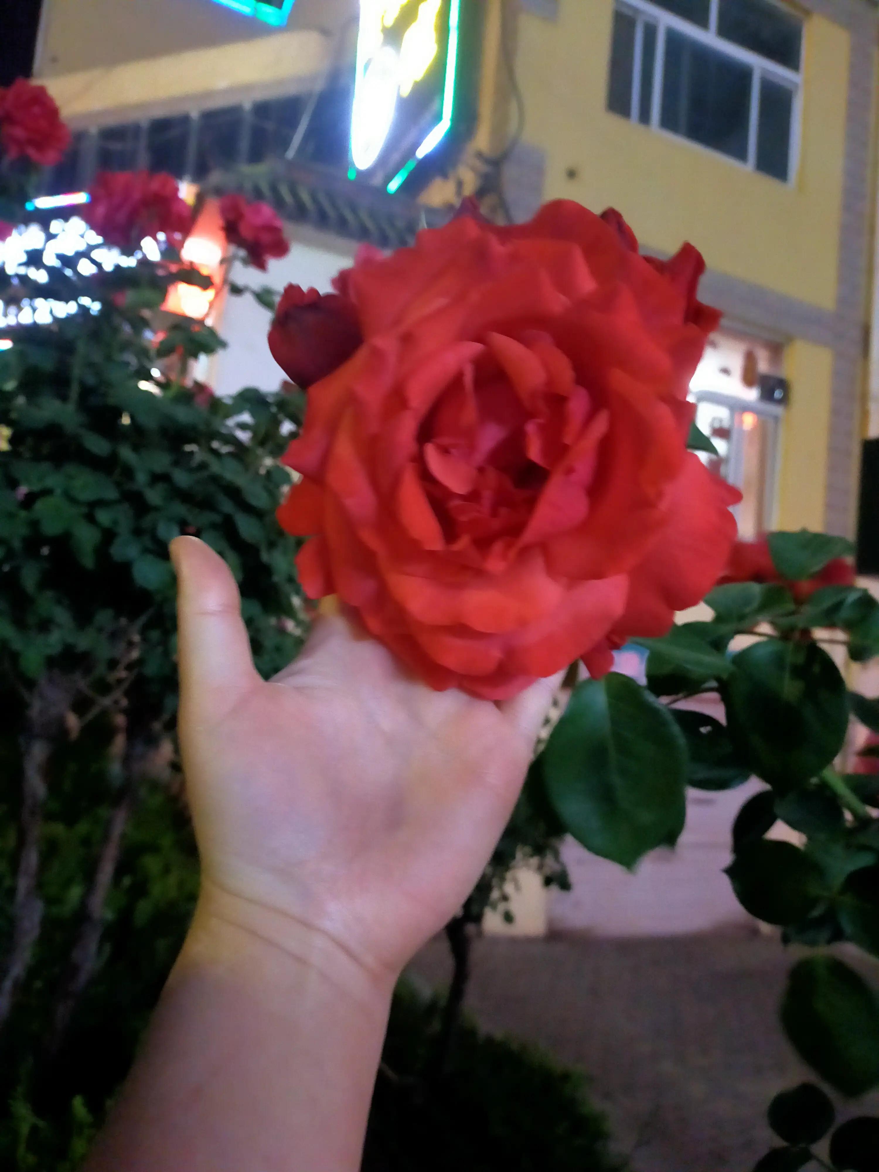 忘关车窗下雨进水的正确处理方式,汽车车窗忘了关淋雨了怎么办