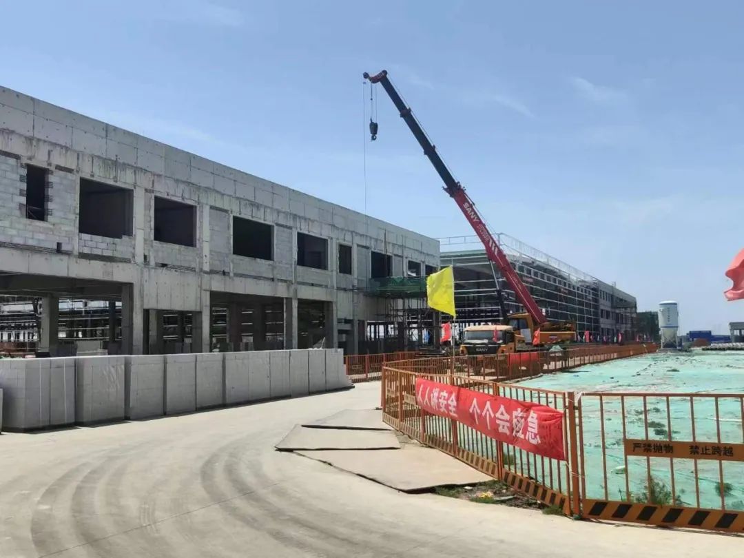 今天泰达有什么消息,滨海泰达最近新消息