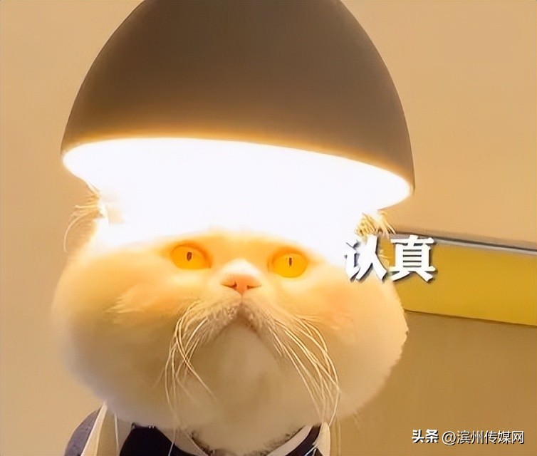 站起来眼前发黑是怎么回事怎么治,站起时眼前发黑是什么原因