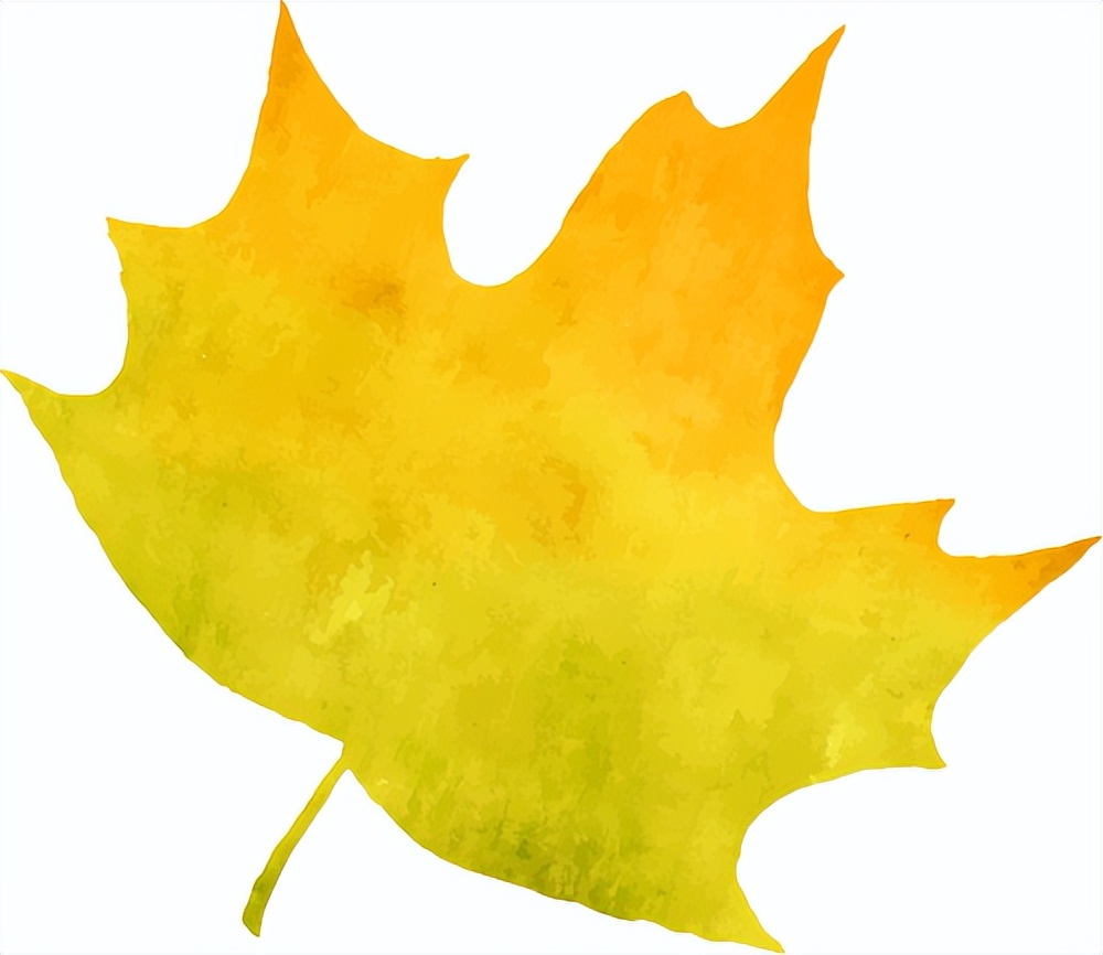 镶嵌在黄土坡上的宅院文化作者：武文英