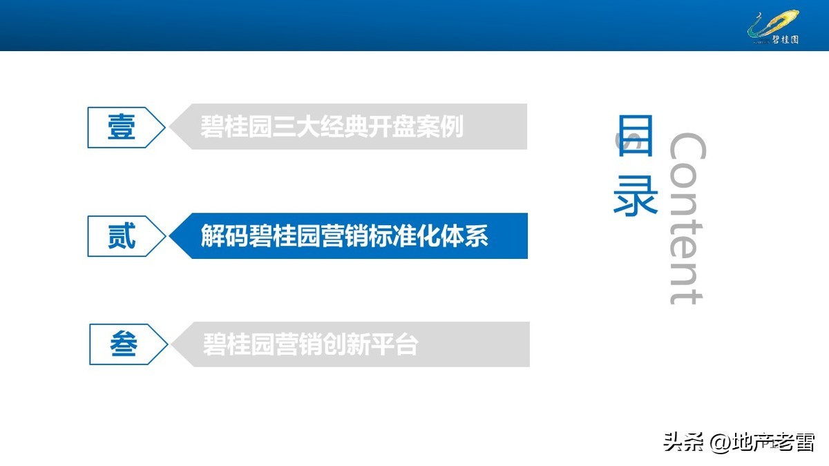 碧桂园房地产开盘前营销方案,碧桂园房地产产品策略