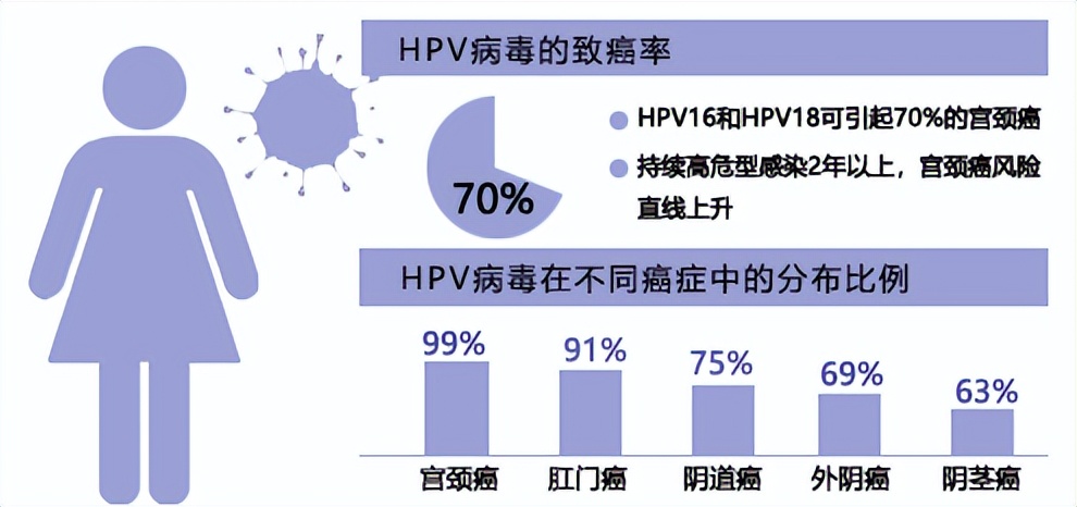 感染hpv伴随宫颈高级别病变怎么治,感染了hpv得宫颈癌的几率大吗