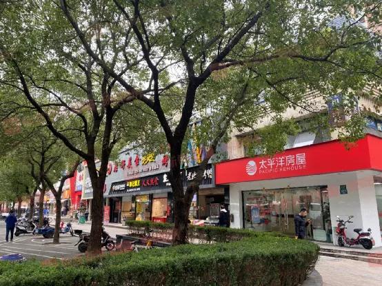 上海远郊康桥值得买吗,康桥哪个地段最好