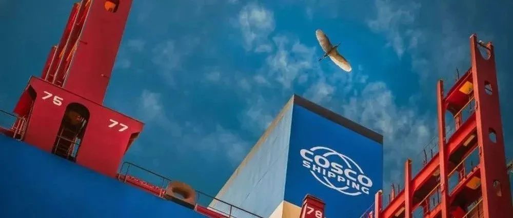 中远海运海外公司助推国际化发展,中远海运标志