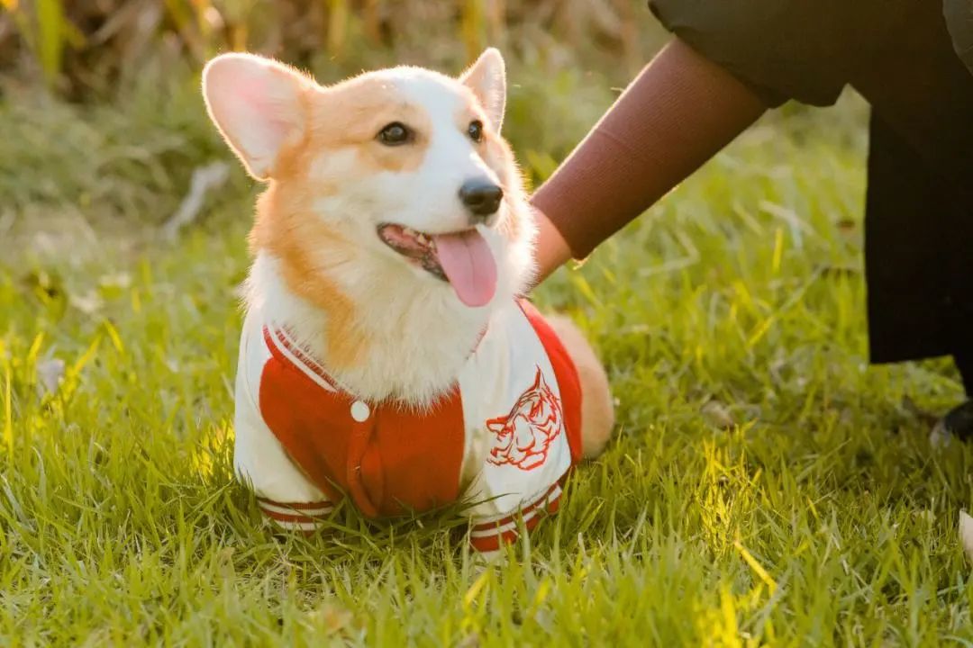 被人忽视的小生意，干的人都成了暴发户，而且市场需求很大