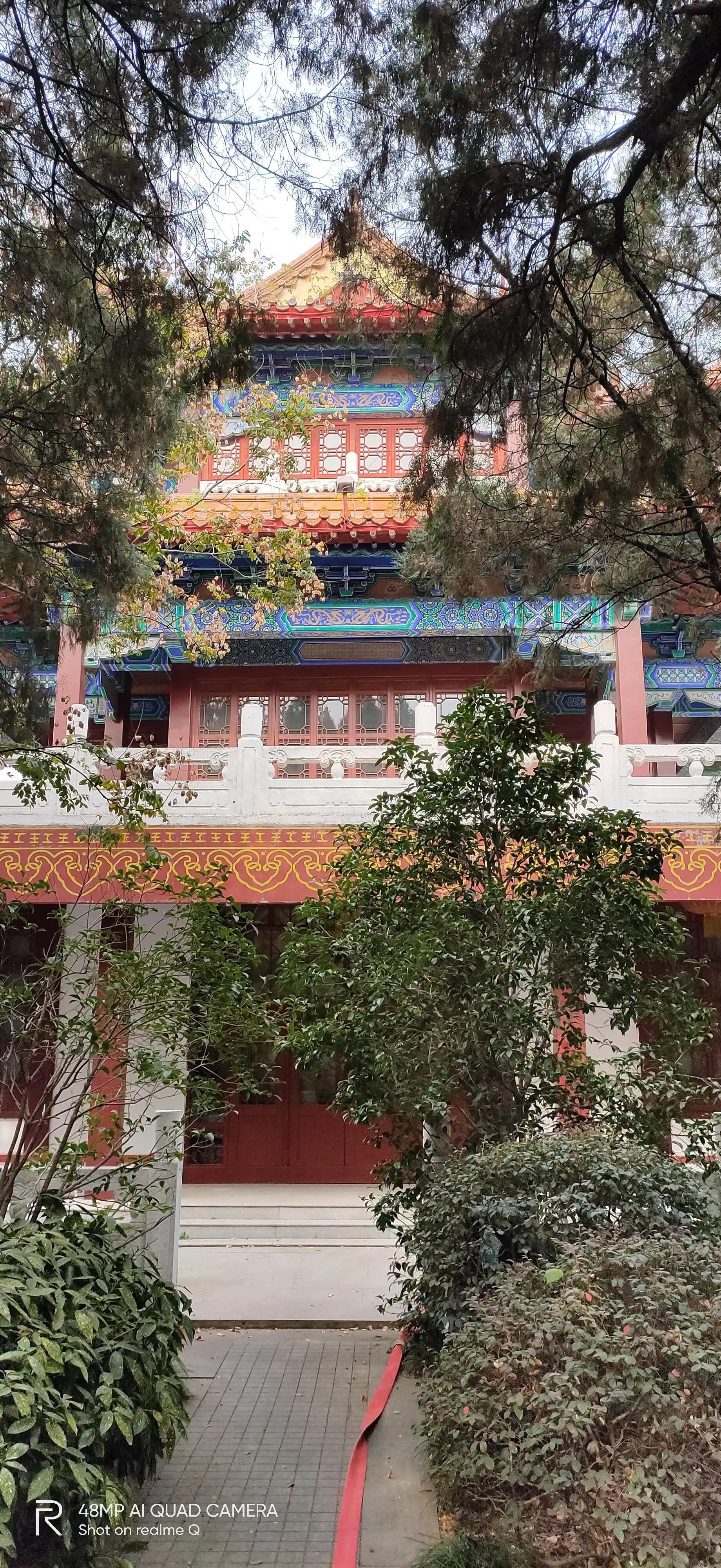 徐州彭祖园森林探险,徐州彭祖园名人石像