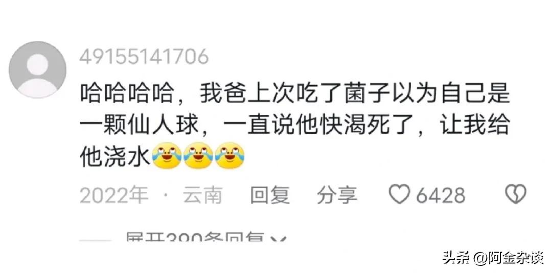 吃菌子中毒最新事件,吃菌子中毒一家子都以为没中毒