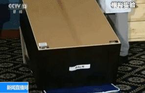 跑步机伤害儿童,跑步机对小孩的危害