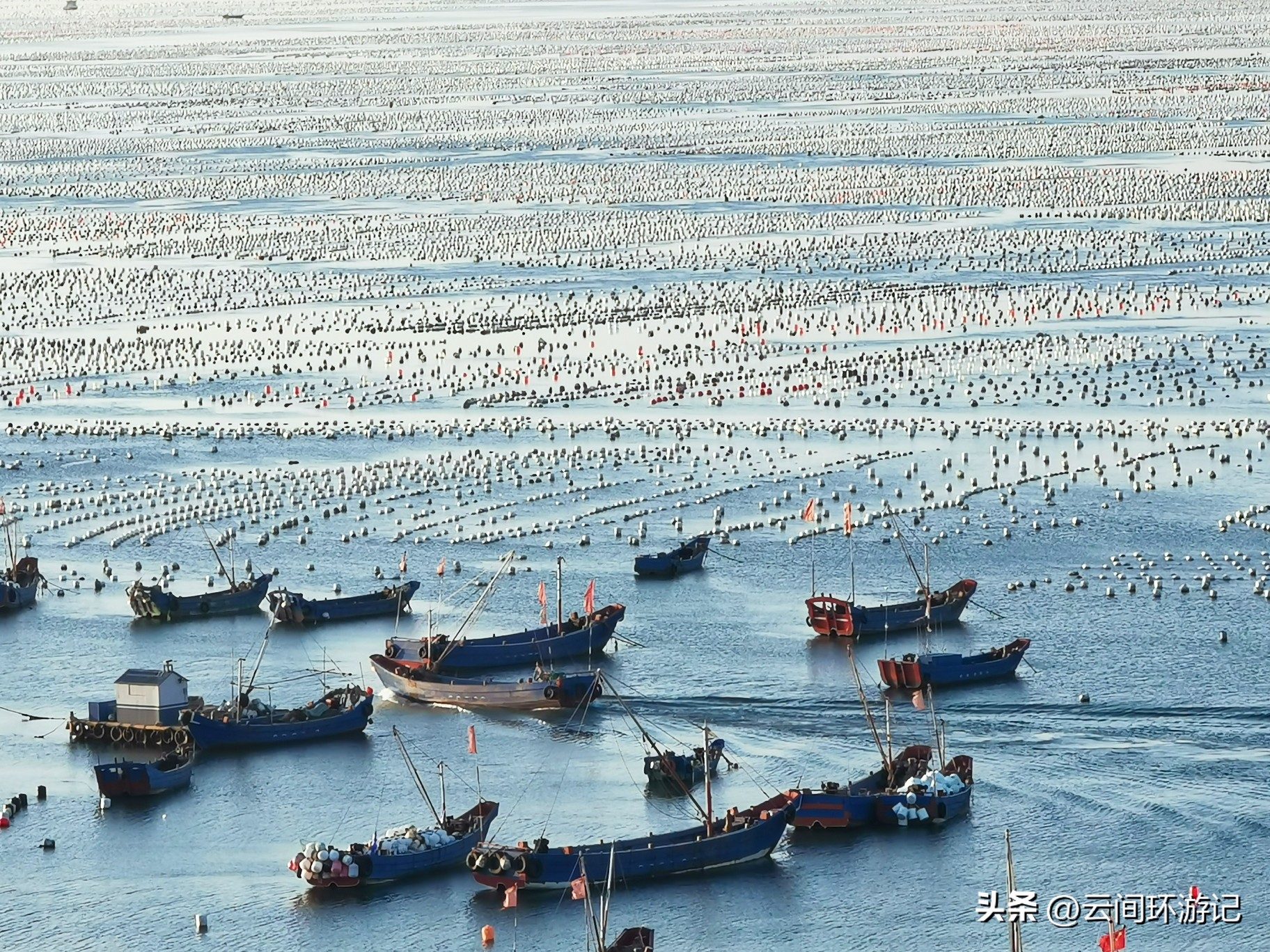枸杞岛哪里看日落,去枸杞岛看蓝色的海
