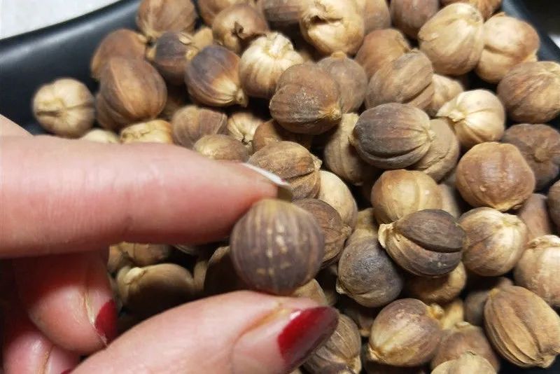 姜类香辛料都包含哪些种,12种必须了解的香料作用和用量