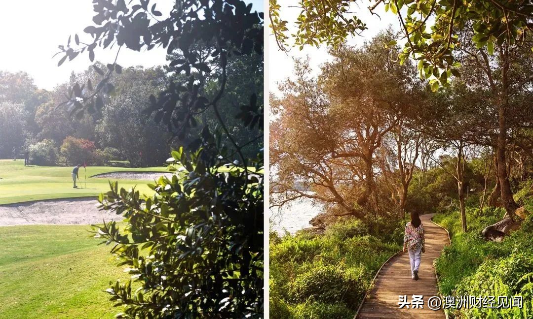 悉尼主城区房价,悉尼中心区房价