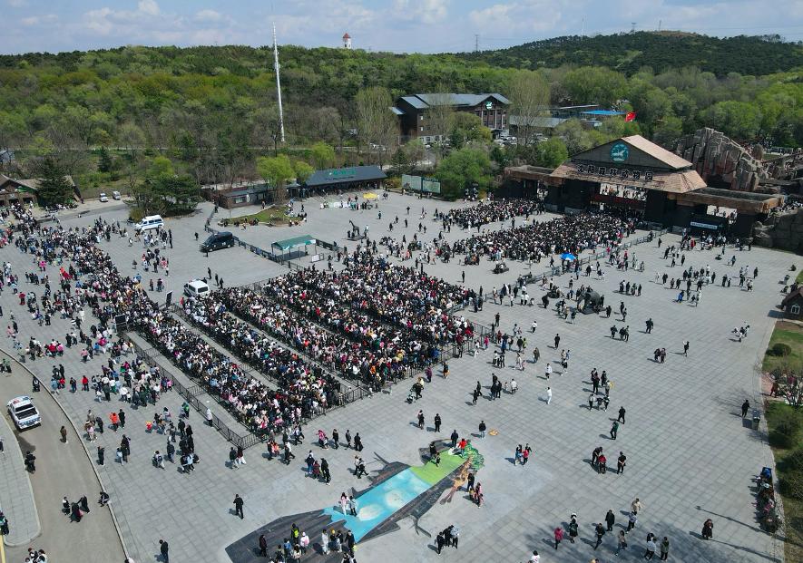 游客增长206.47%，中智游助力沈阳棋盘山交出“五一”出彩答卷