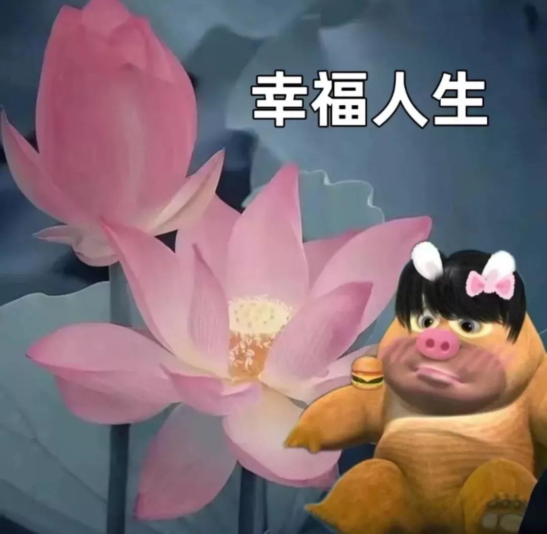 熊熊姐姐做手账,熊熊姐姐公园视频