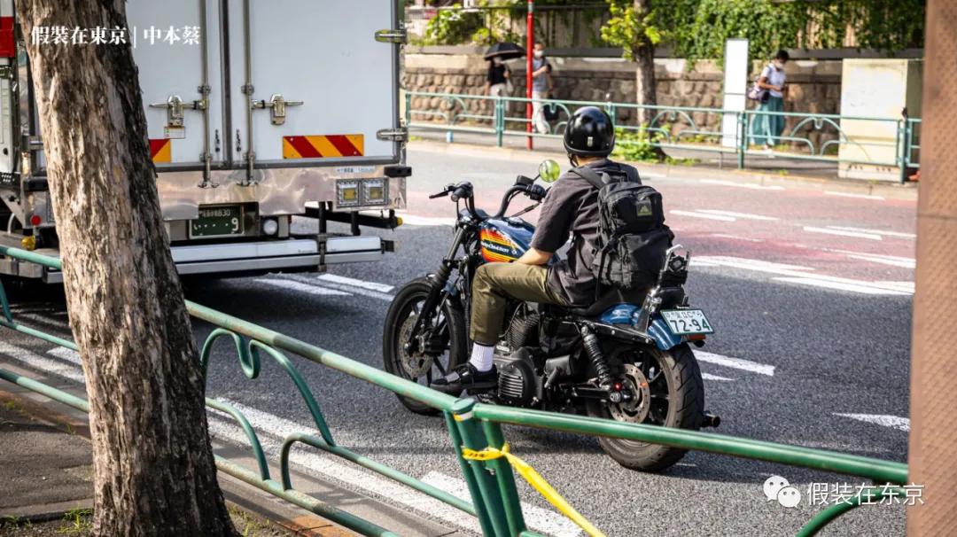 365张照片回顾,365张相片