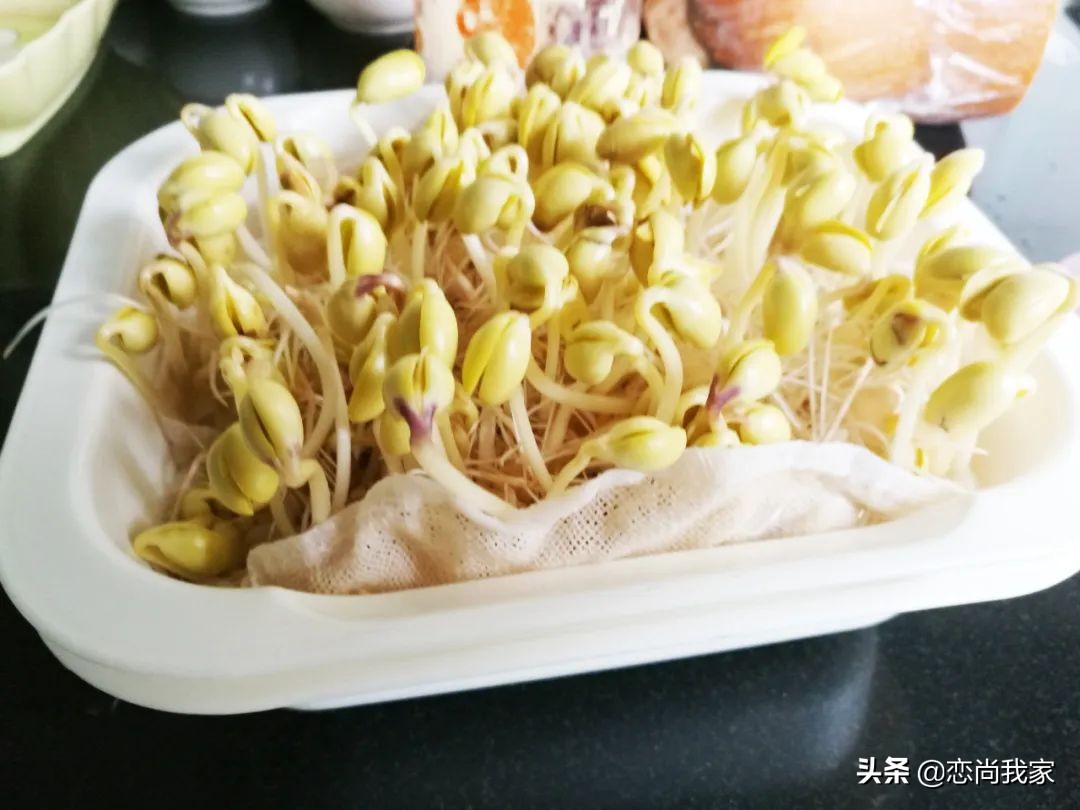 生黄豆芽老是烂豆是什么原因,怎样焯黄豆芽才又鲜又脆