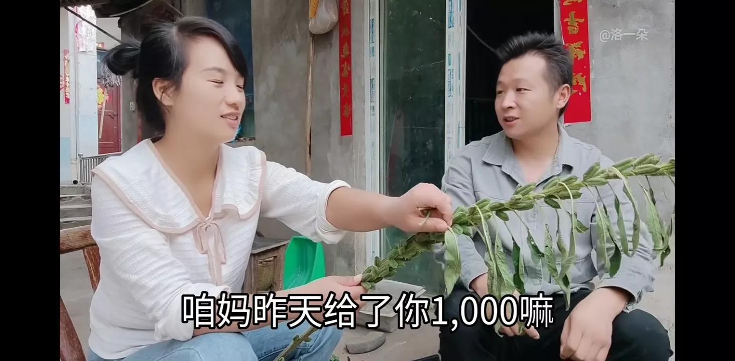 子奇妈给一朵钱买衣服，结果一朵买了化肥