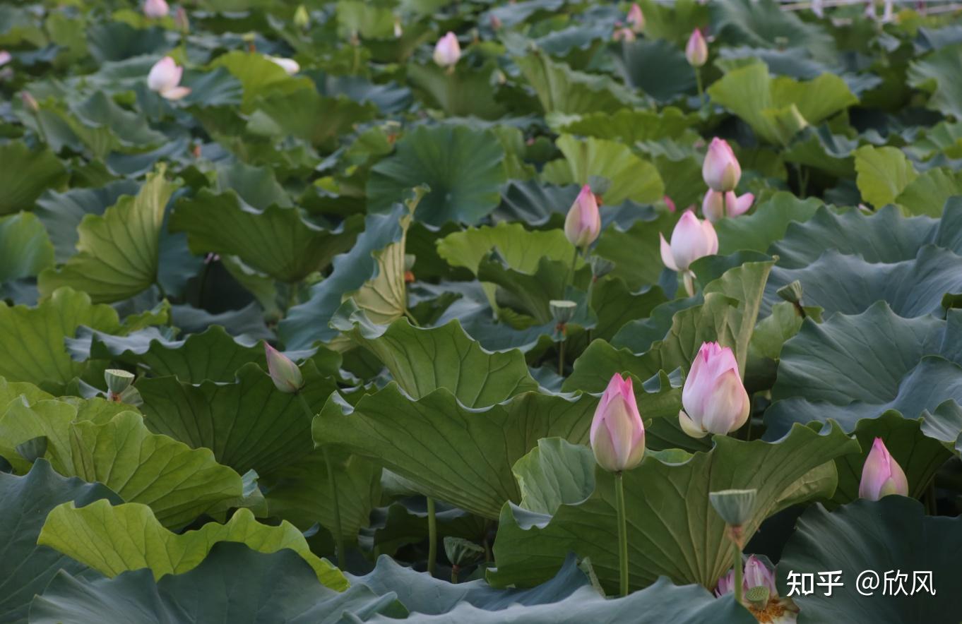 2-3天适合去哪里旅游湖北,湖北十堰旅游攻略三日游