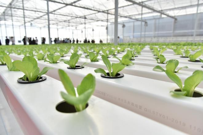 中国制造的先进事迹,中国制造企业品质榜样