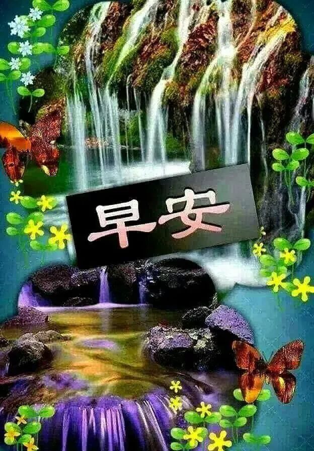 早上好最美的早安祝福表情图,早上好漂亮的早安问候动态图片