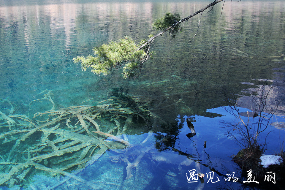 如果一生只去一个古城,一生去一次九寨沟