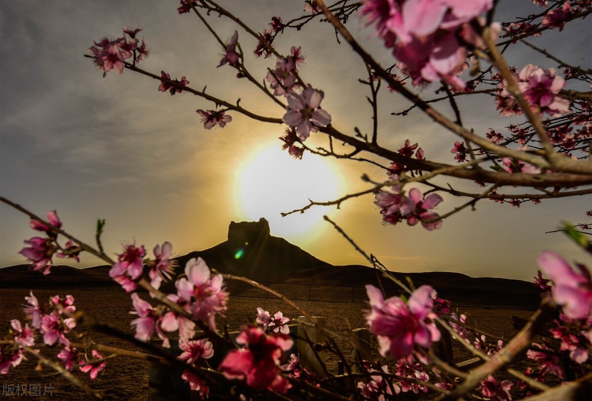 头条号写文章技巧,头条号写文章的方法