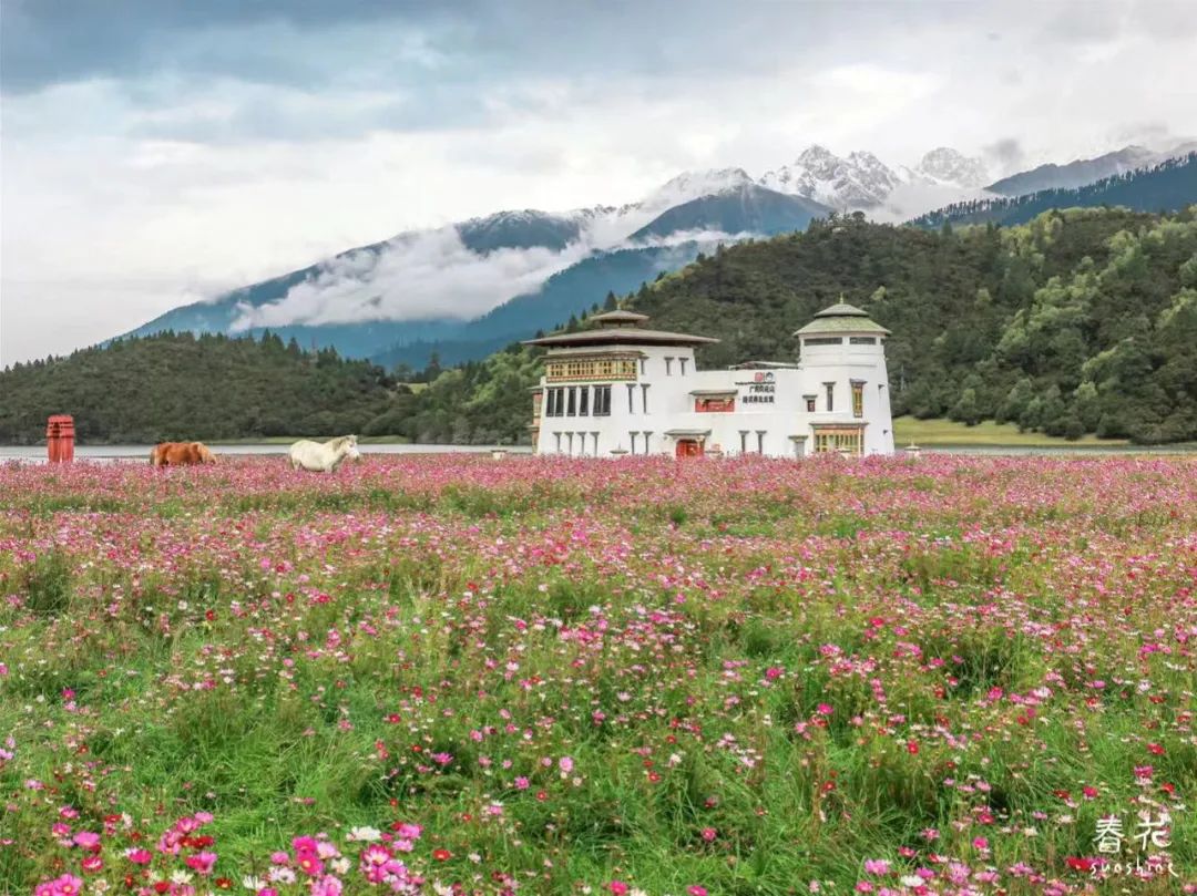 西藏小众旅行摄影,摄影必去的12个地方广州