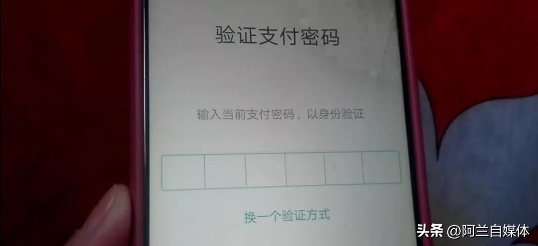支付宝免密码怎样改成有密码支付,支付宝忘记密码怎么才能找回密码