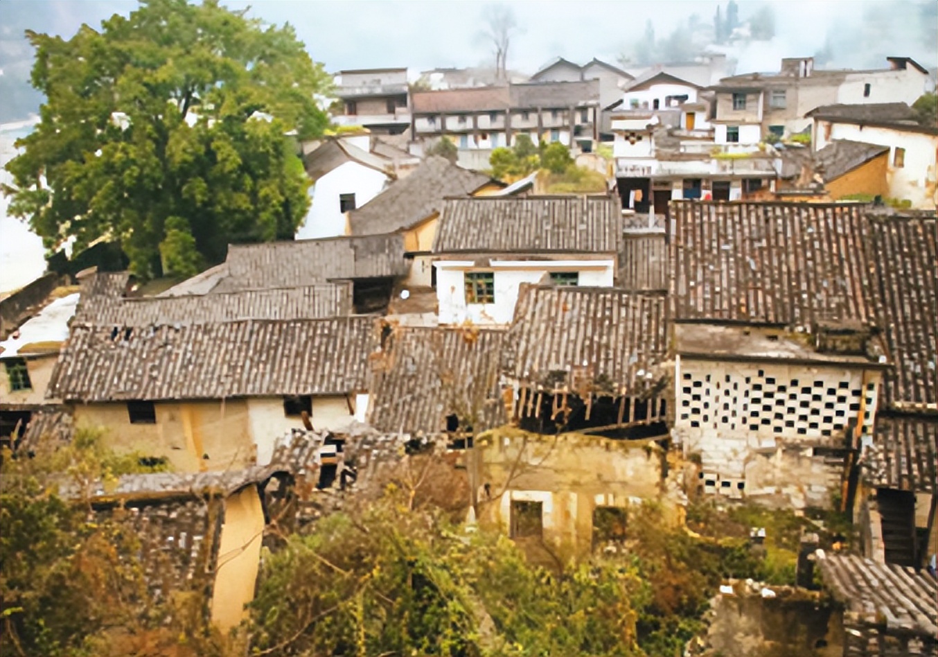 重庆独臂少年,独臂男孩重庆