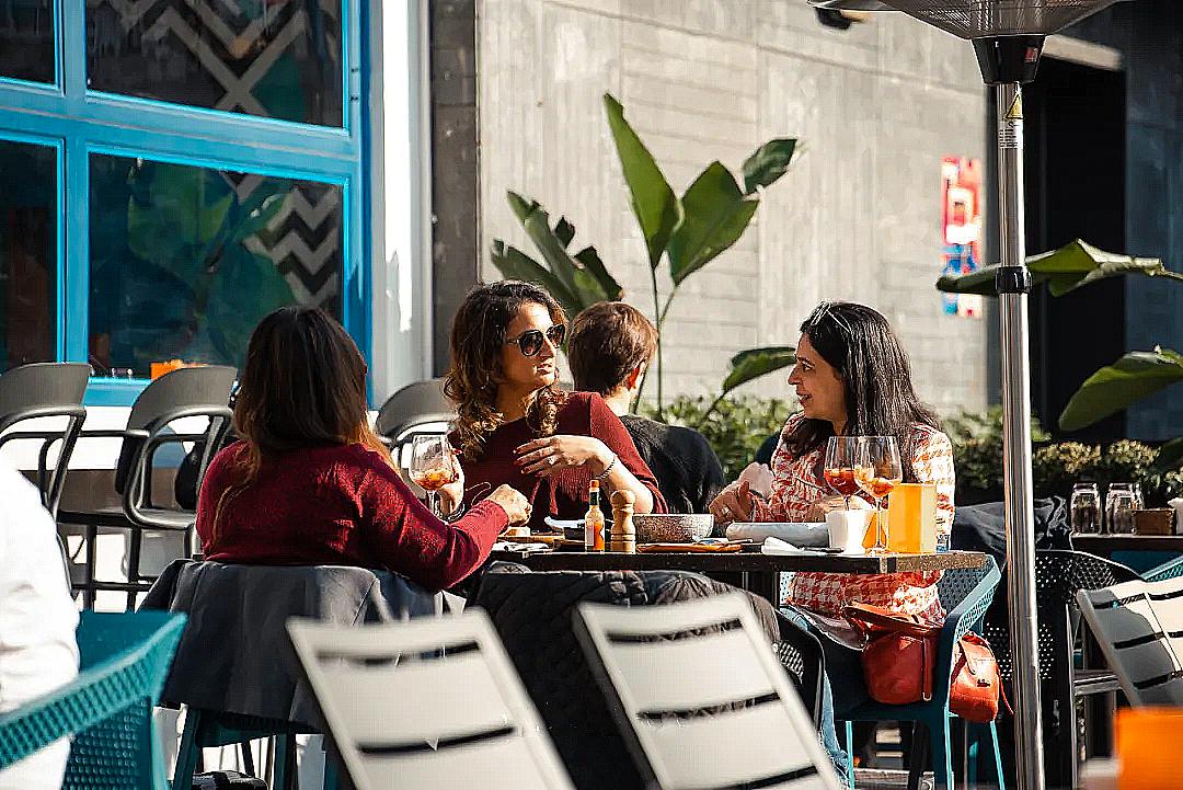 魔都宠物天地,魔都周边宠物友好景区