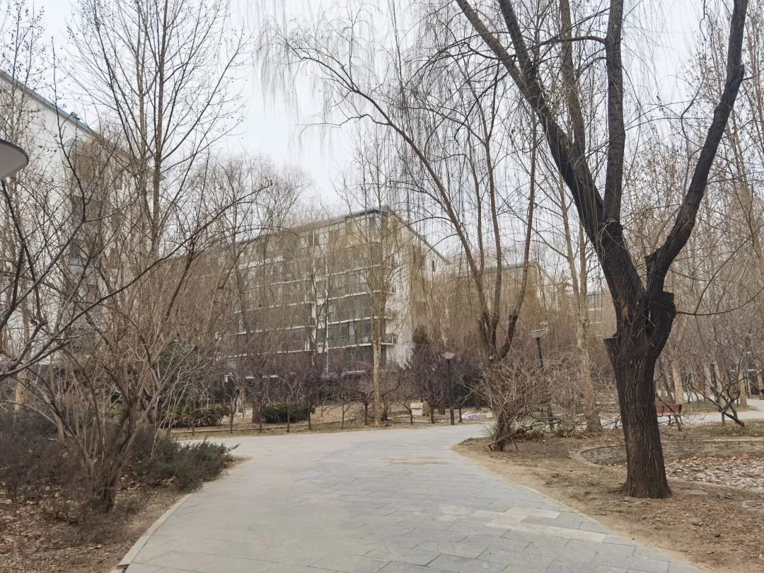 二环内五六十多平方的房子,二环内有多少商品房