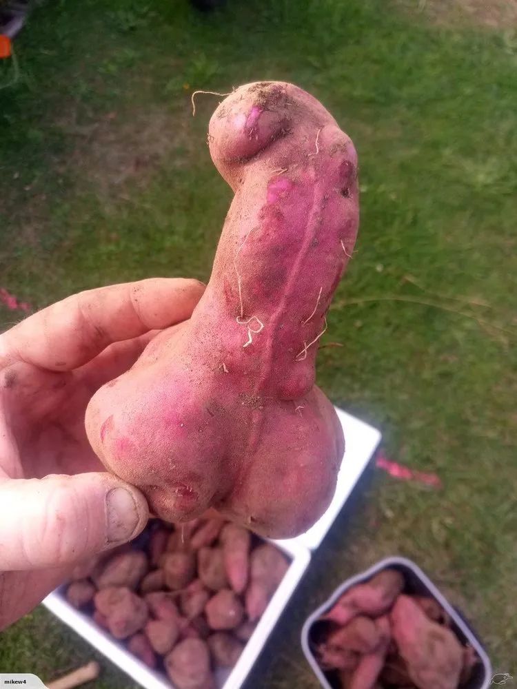 长得丑被抛弃,长得丑被人抛弃