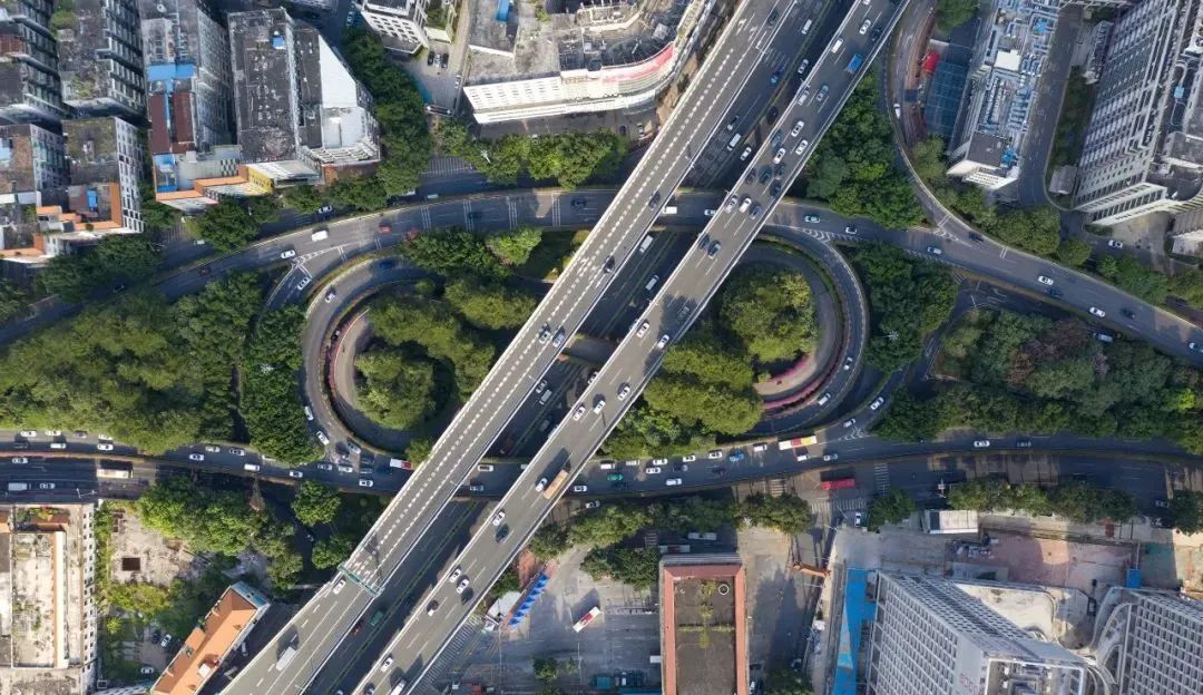 百日整治、举报有奖，能解决广州“*鸡电**围城”乱象吗？