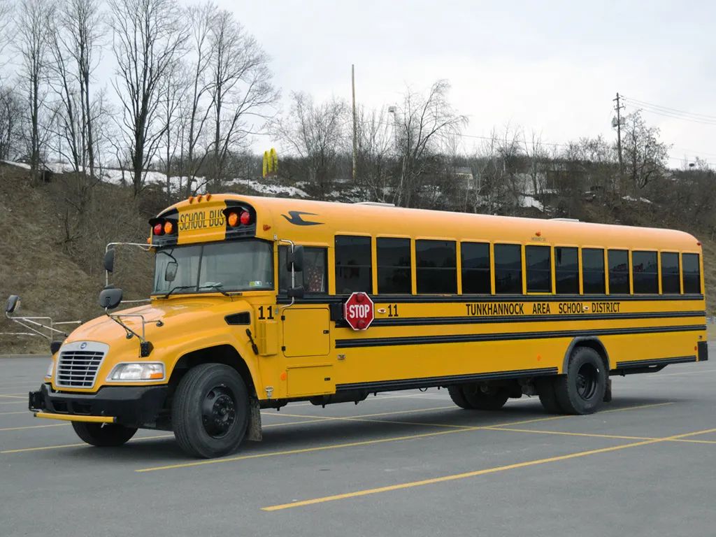 美国校巴真的好么