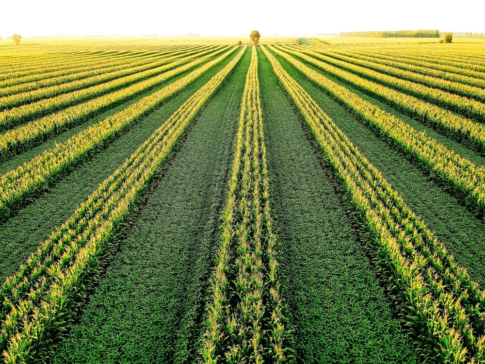 俄开放海参崴，24小时内，中国取消美83万吨订单，美国时间不多了