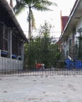 “性取向测试!”如果你看到的是一群人在游泳,那就再仔细看看