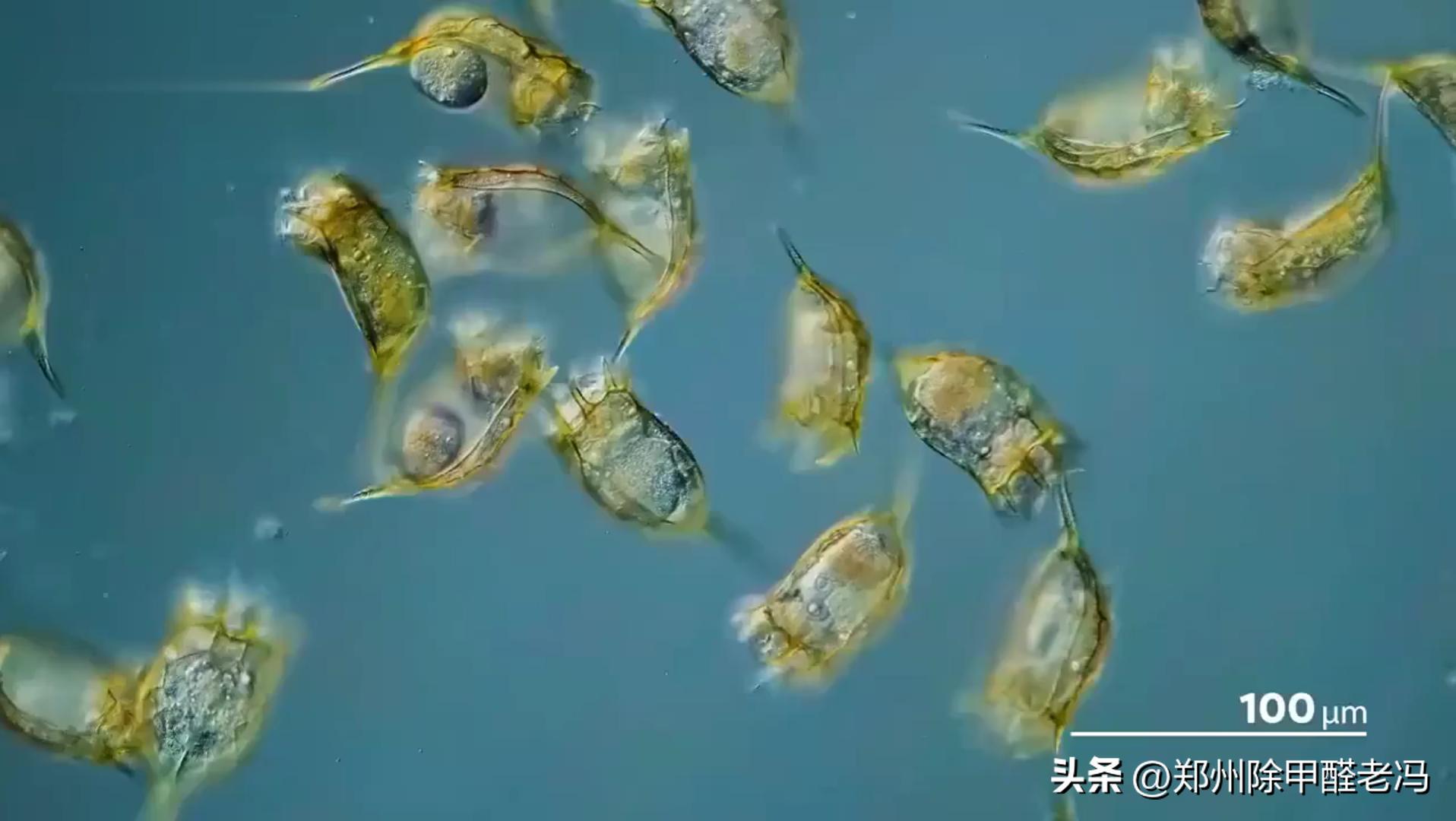 环保工程师对于污水的处理与展望,污水处理工程师要懂哪些东西