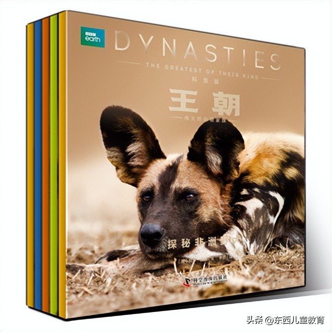 法布尔昆虫记立体书适合3-6岁儿童,法布尔昆虫记青少版必读