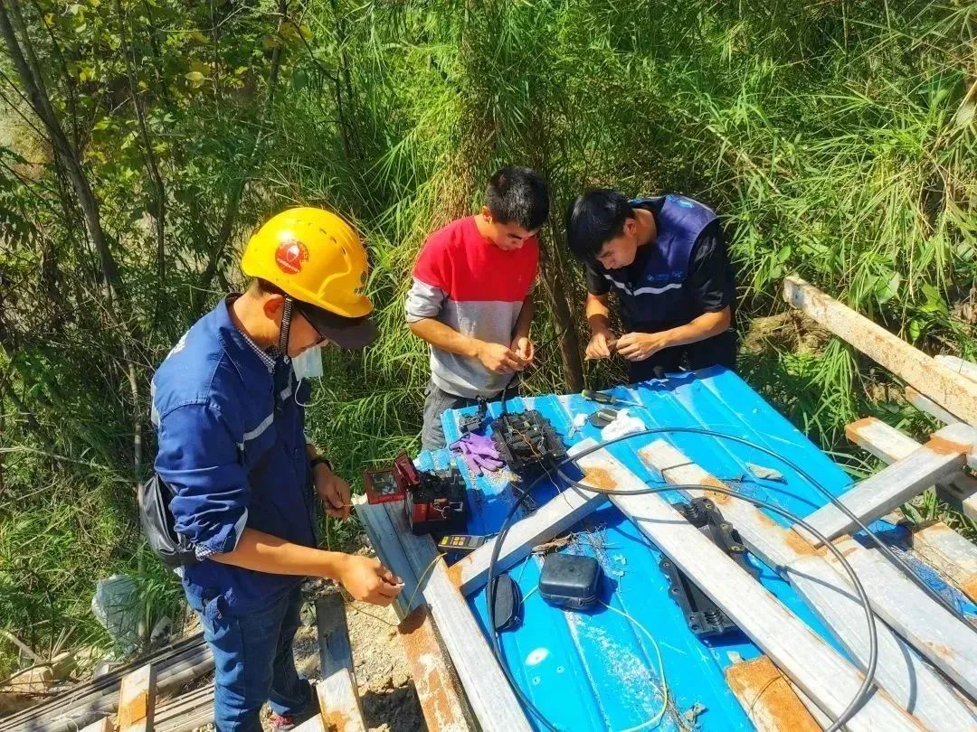 悬念揭晓在即,悬念揭晓视频