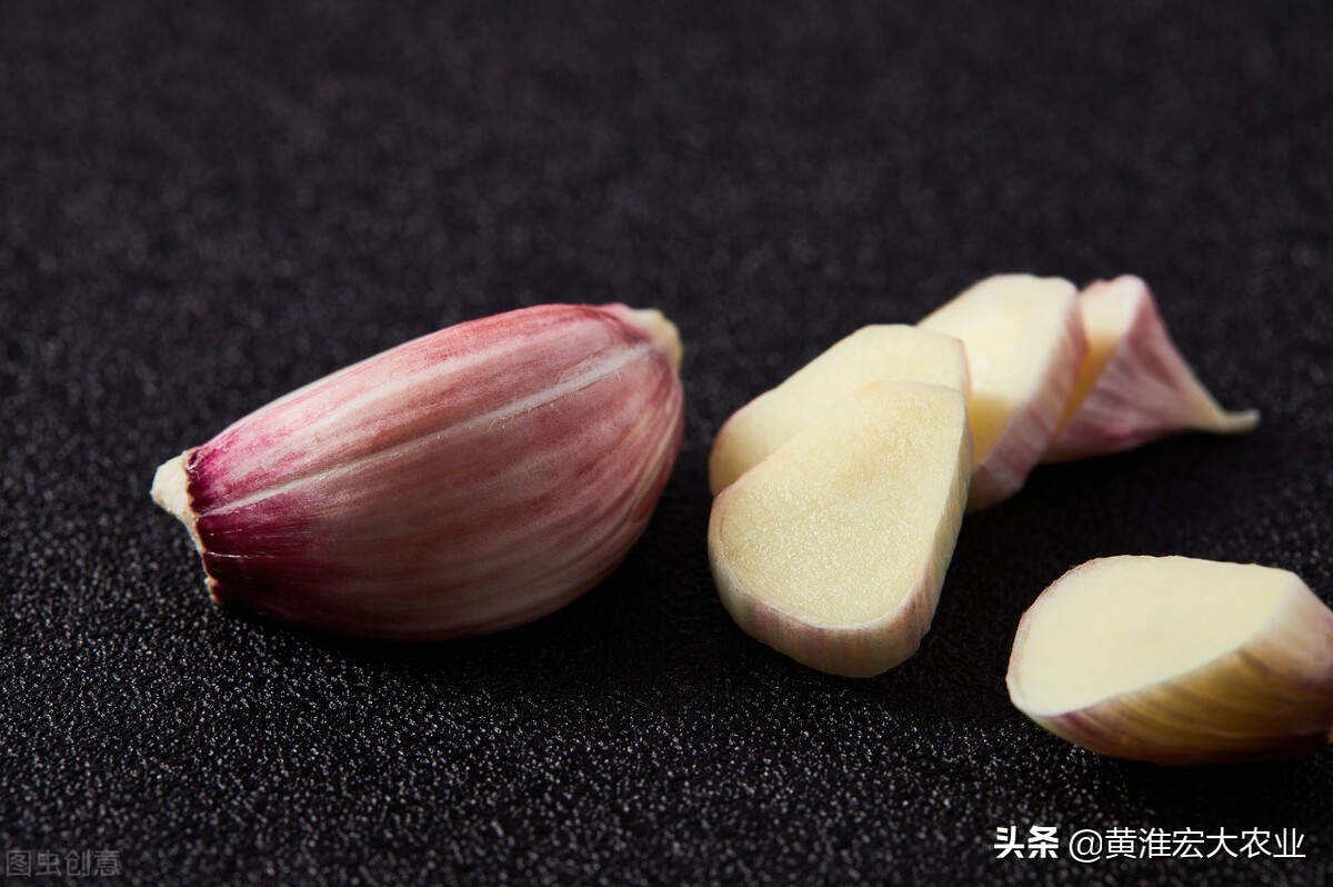 大蒜价格下行预期,2022年大蒜价格为什么下滑