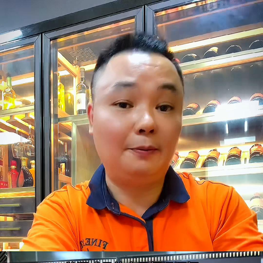 入门恒温酒柜,恒温酒柜和常温酒柜组合