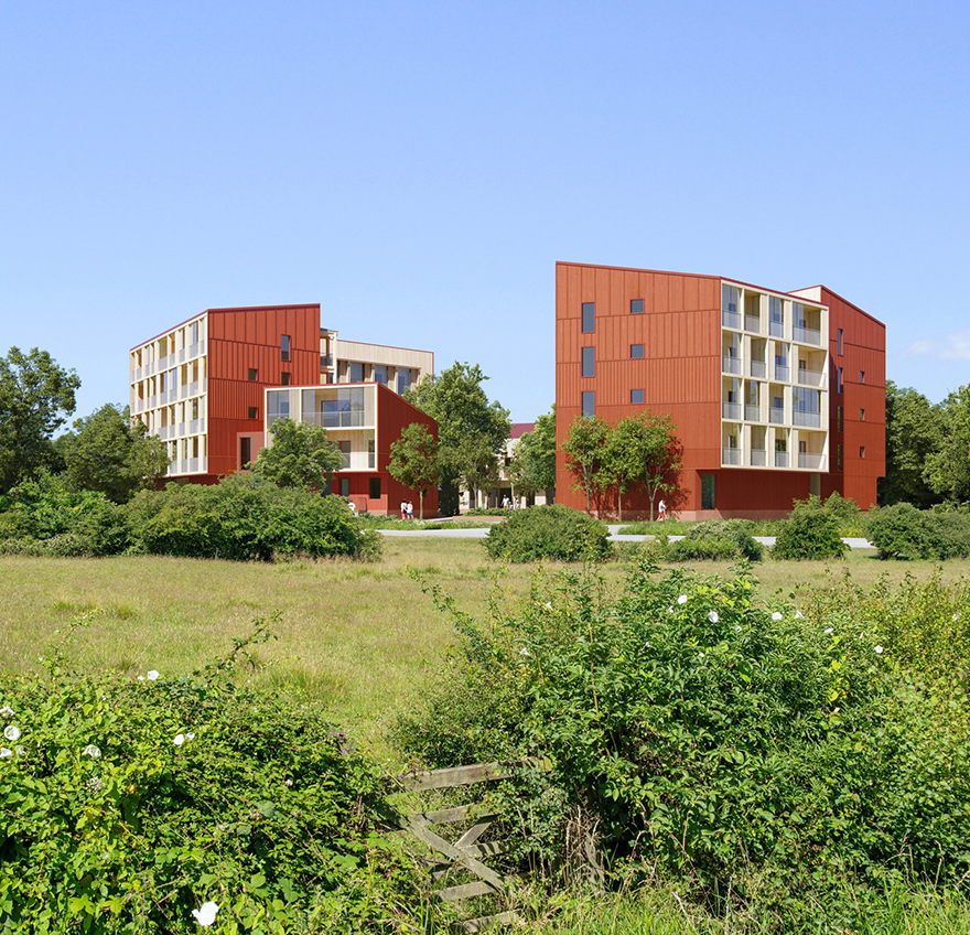 typology涓枃,typology