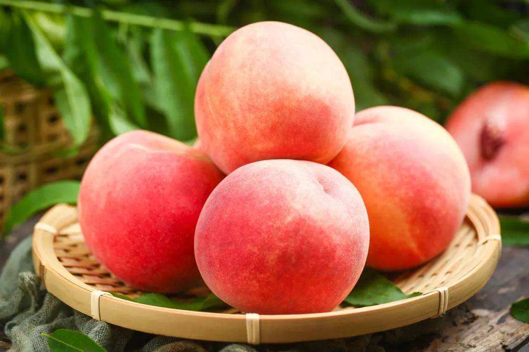 甘肃这边的水果,甘肃的水果少吗