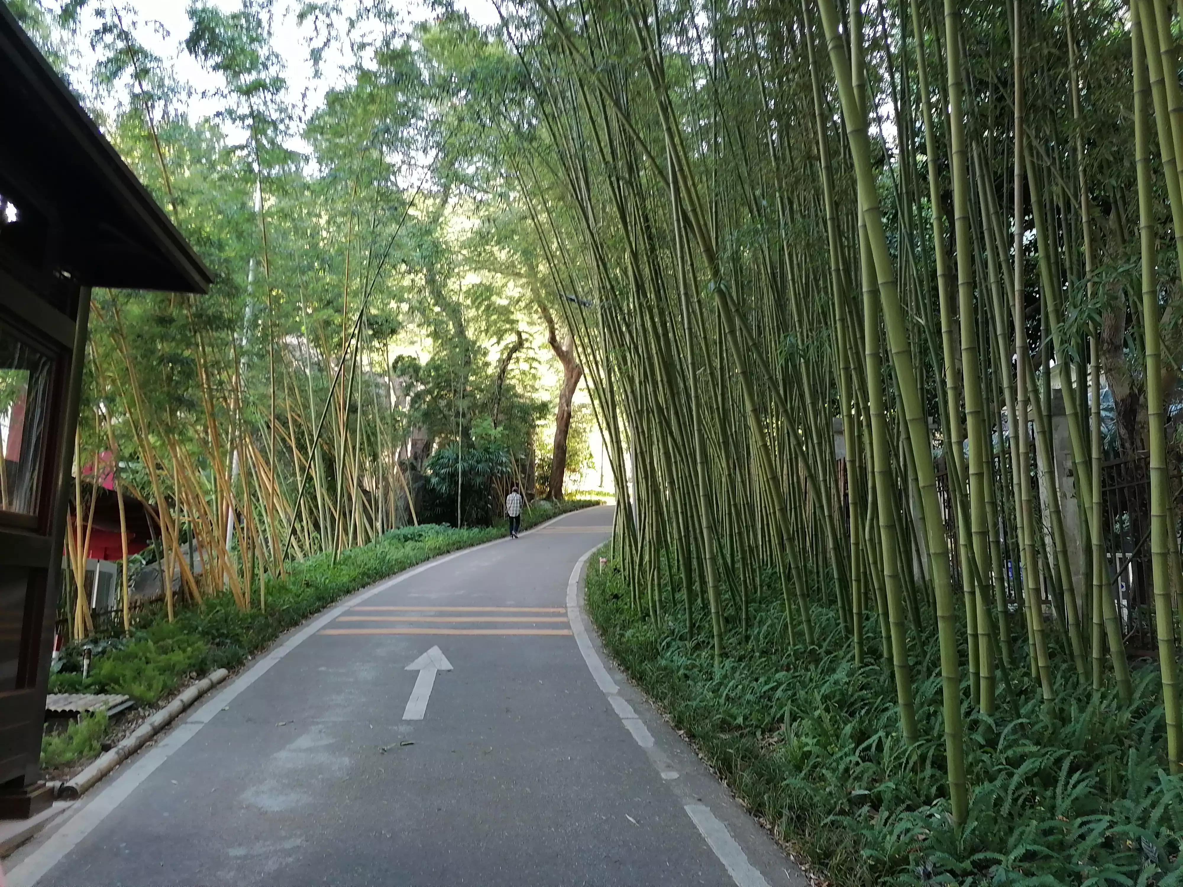 信用卡逾期被催收正确应对方法,信用卡逾期后还款注意事项