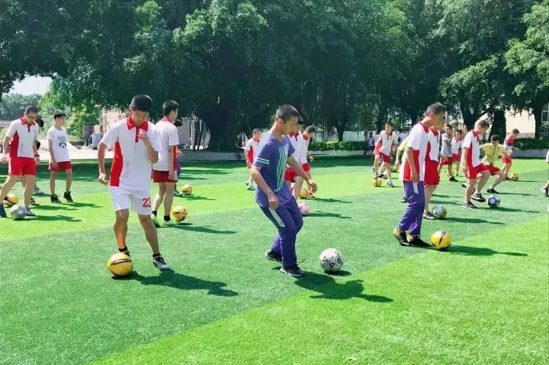 全国青少年校园足球联赛2024校园,全国青少年校园足球联赛东南赛区