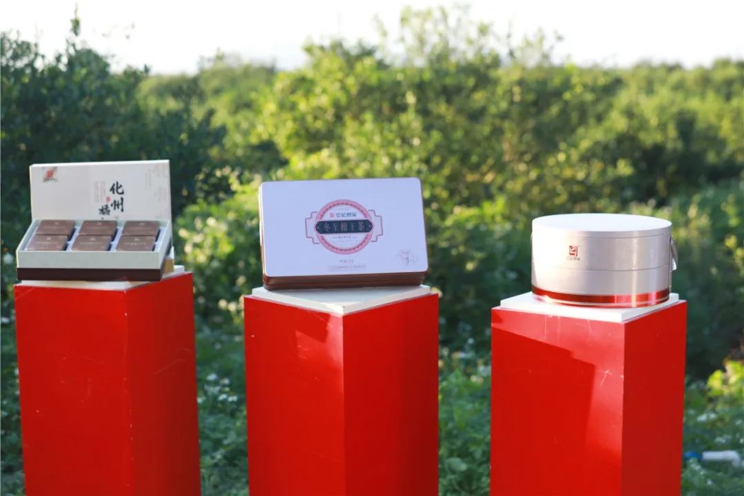 世纪茗家首届庆丰收线上柑园音乐会暨有机新品发布会圆满举办